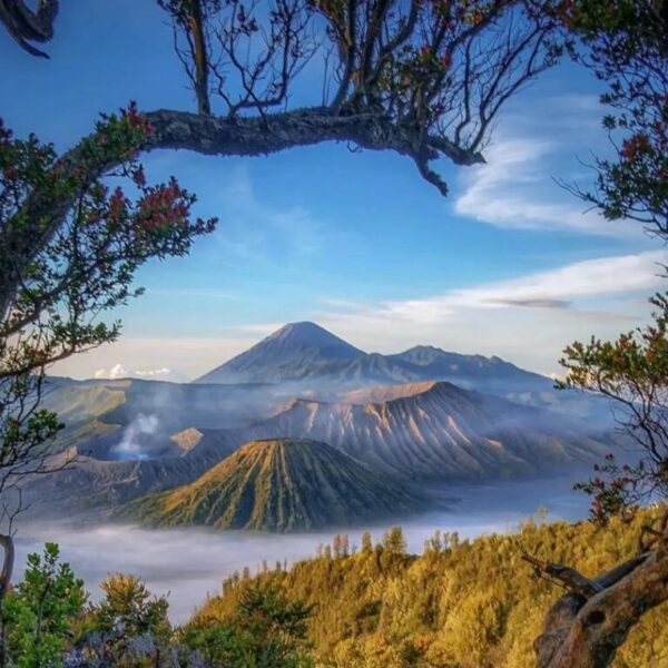 Foto Dea Transwisata Malang (1)