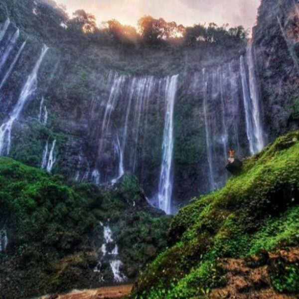 Foto Dea Transwisata Malang (7) Foto Dea Transwisata Malang (7)