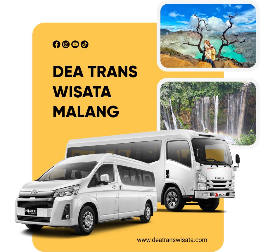 profil Dea Traswisata